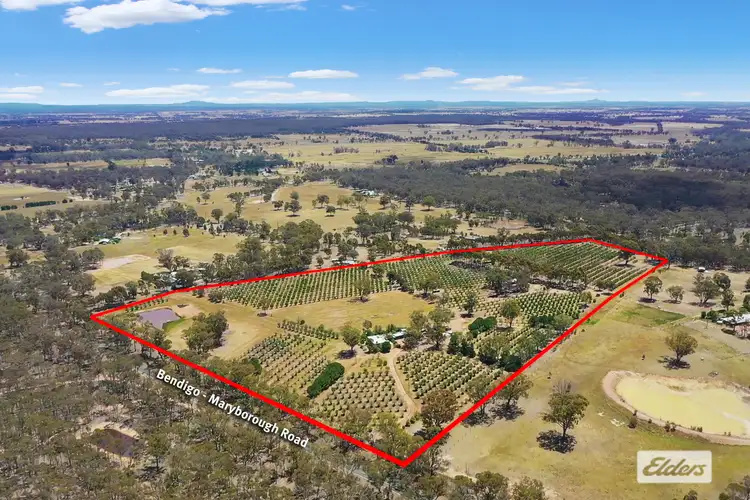 1012 Bendigo-Maryborough Road, Lockwood VIC 3551