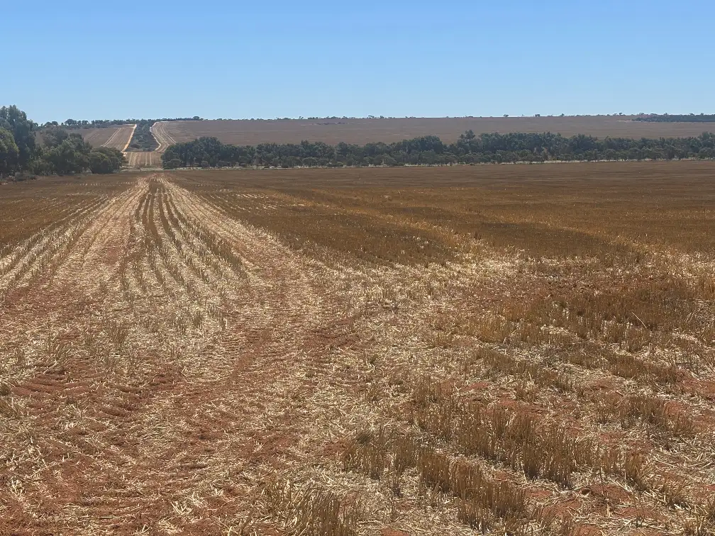 Main view of Homely rural property listing, 727 Tenindewa Road North, Tenindewa WA 6632
