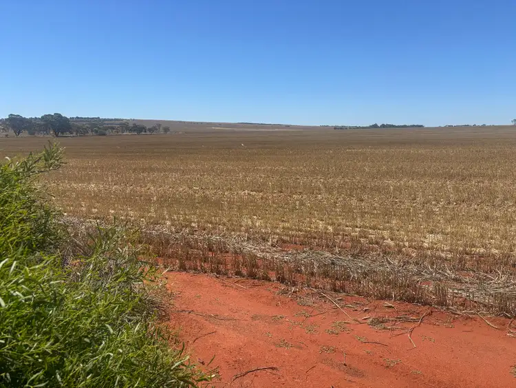 Second view of Homely rural property listing, 727 Tenindewa Road North, Tenindewa WA 6632