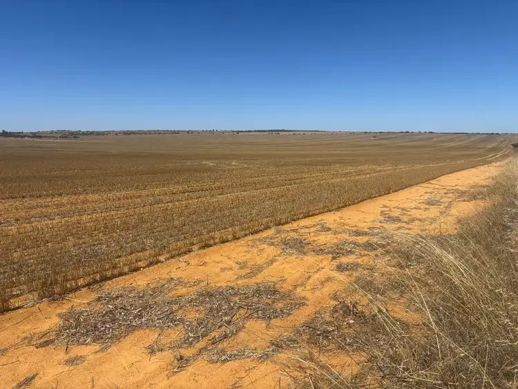 Fourth view of Homely rural property listing, 727 Tenindewa Road North, Tenindewa WA 6632