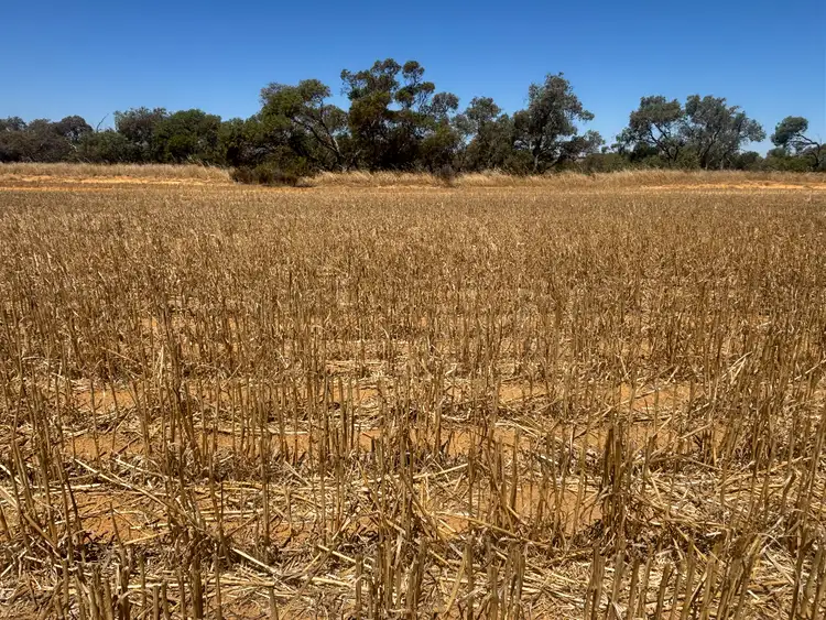 Fifth view of Homely rural property listing, 727 Tenindewa Road North, Tenindewa WA 6632