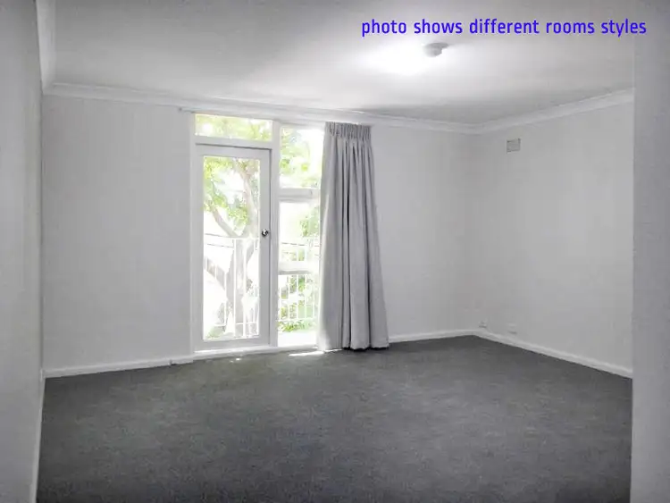 43-45 Phelps Street, Surry Hills NSW 2010