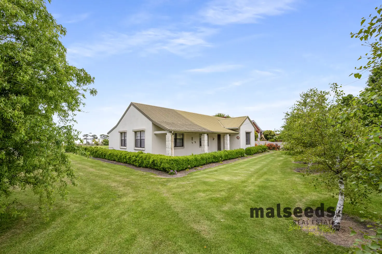 Main view of Homely house listing, 164 Mount Gambier Road, Millicent SA 5280