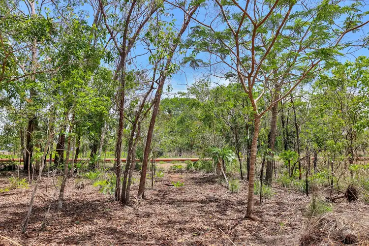 Seventh view of Homely rural property listing, 155B Lowther Road, Bees Creek NT 822