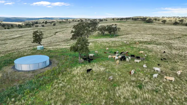 Fourth view of Homely land listing, 2741 Bunnan Road, Bunnan NSW 2337