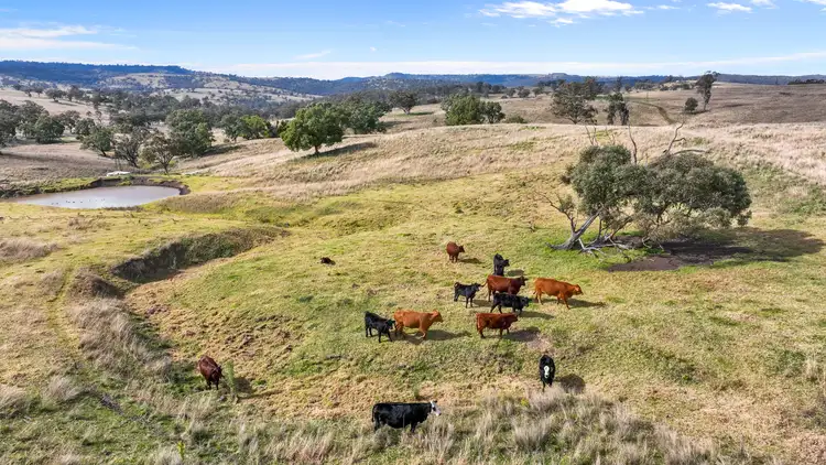 Seventh view of Homely land listing, 2741 Bunnan Road, Bunnan NSW 2337