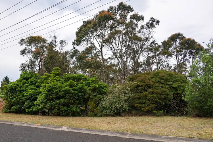 Fourth view of Homely land listing, 20 Bass Road, Wentworth Falls NSW 2782