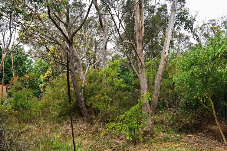 Fifth view of Homely land listing, 20 Bass Road, Wentworth Falls NSW 2782