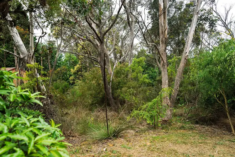 Sixth view of Homely land listing, 20 Bass Road, Wentworth Falls NSW 2782