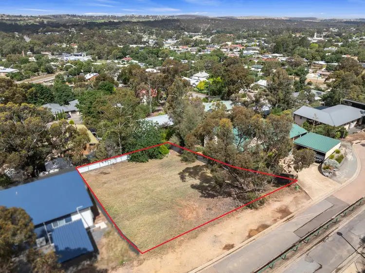 9 Michael Court, Clare SA 5453