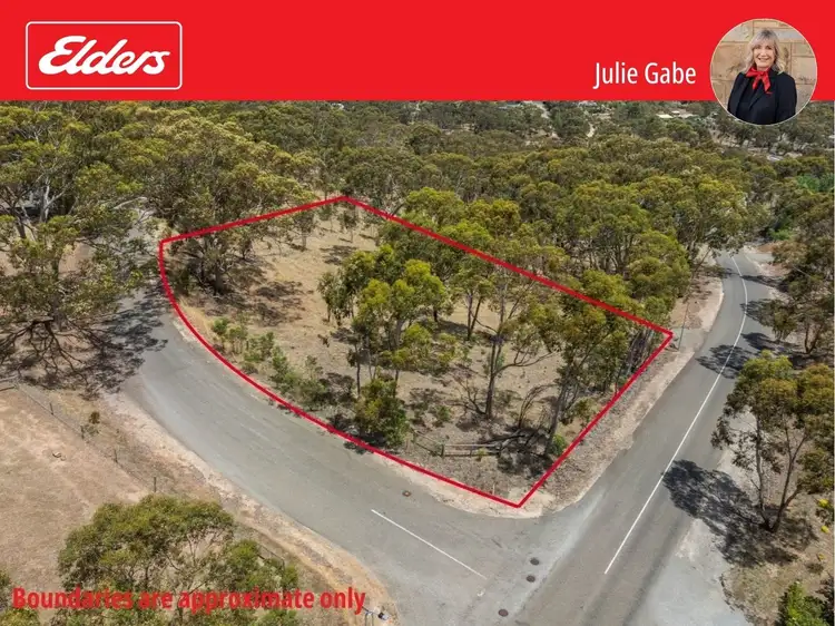 Lot 44 Norman Drive