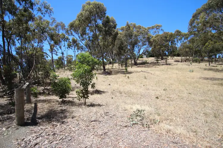 Fifth view of Homely land listing, Lot 44 Norman Drive, Stanley Flat SA 5453