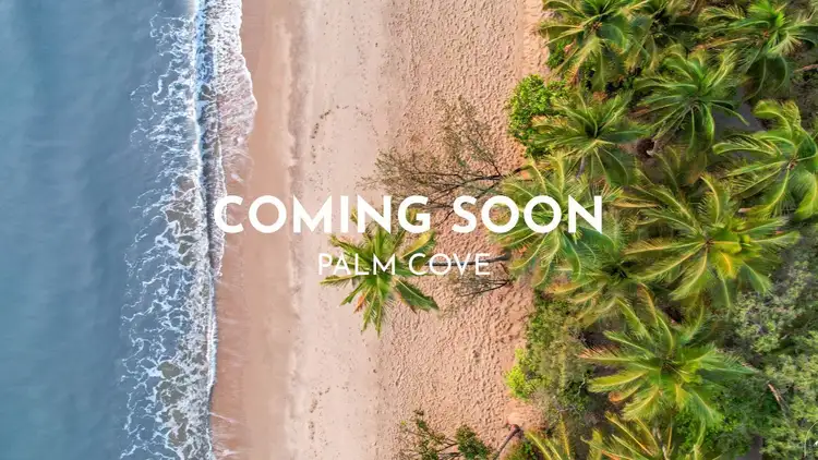 66 Terebra Street, Palm Cove QLD 4879