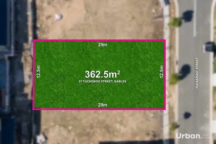 37 Tuckeroo  (Gables) Street