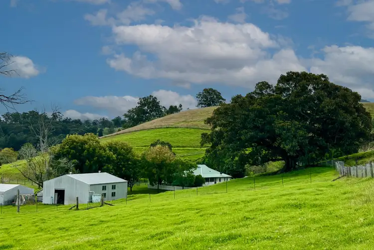 Second view of Homely rural property listing, 1644 Paterson River Road, Lostock NSW 2311