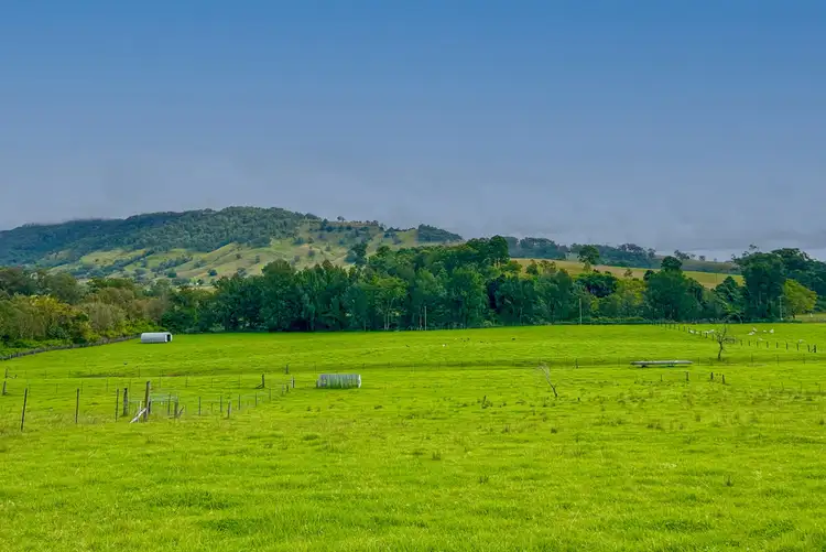 Fifth view of Homely rural property listing, 1644 Paterson River Road, Lostock NSW 2311