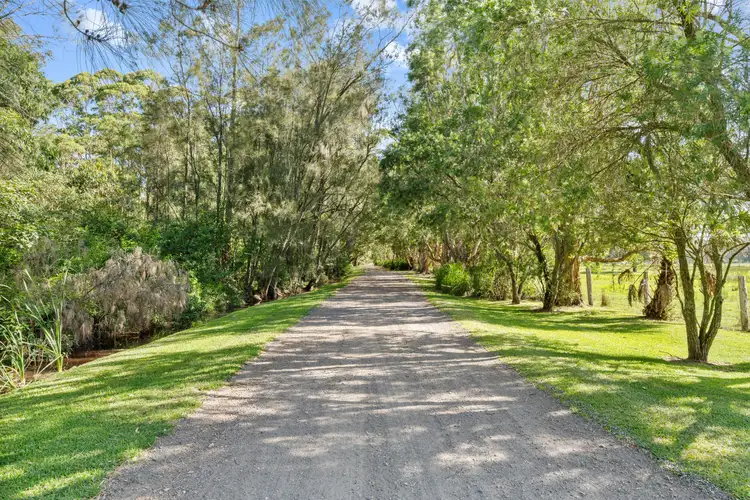 Sixth view of Homely rural property listing, 564 Marsh Road, Bobs Farm NSW 2316