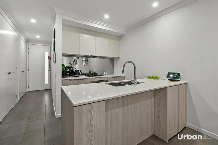 Second view of Homely terrace listing, 213 Jamboree Avenue, Denham Court NSW 2565