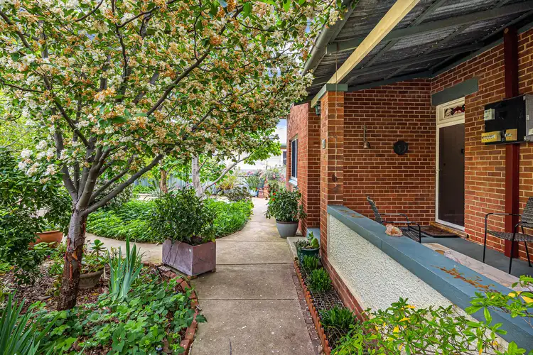 41 Meurant Avenue, Wagga Wagga NSW 2650