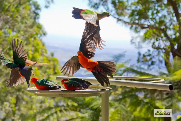 Fifth view of Homely rural property listing, 948 Jamberoo Mountain Road, Jamberoo NSW 2533