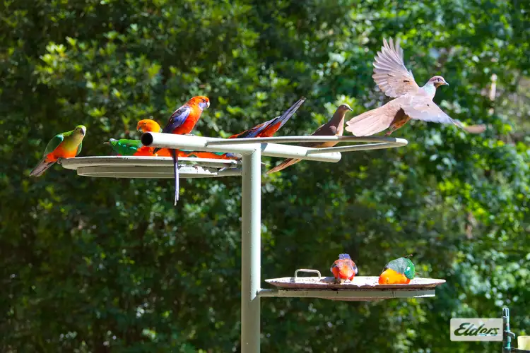 Sixth view of Homely rural property listing, 948 Jamberoo Mountain Road, Jamberoo NSW 2533