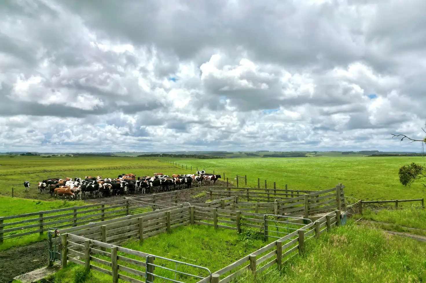 Main view of Homely rural property listing, Smokey Point Road, Port Campbell VIC 3269
