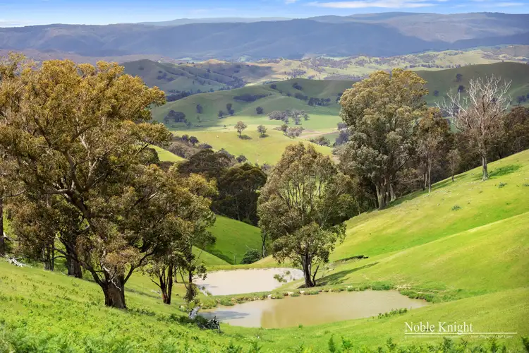 Third view of Homely rural property listing, 545 Ti Tree Creek Road, Yea VIC 3717