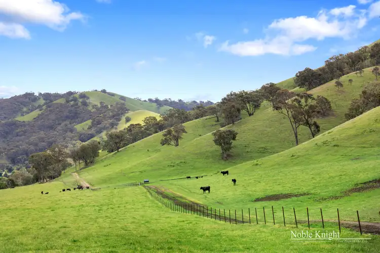 Fourth view of Homely rural property listing, 545 Ti Tree Creek Road, Yea VIC 3717