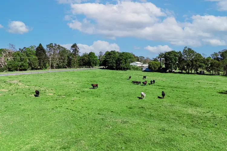 Third view of Homely house listing, 83 Belmore River Right Bank Road, Belmore River NSW 2440