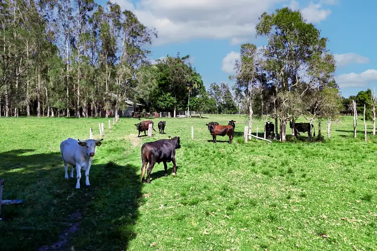 Fifth view of Homely house listing, 83 Belmore River Right Bank Road, Belmore River NSW 2440