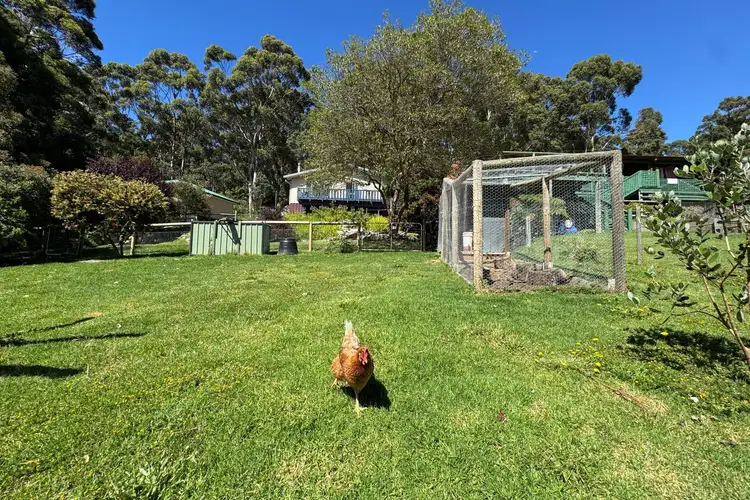 Fifth view of Homely house listing, 31 Bracknell Crescent, Denmark WA 6333