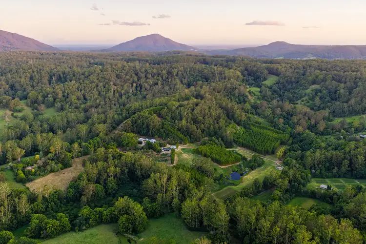 Second view of Homely rural property listing, 661 Stewarts River Road, Lorne NSW 2439