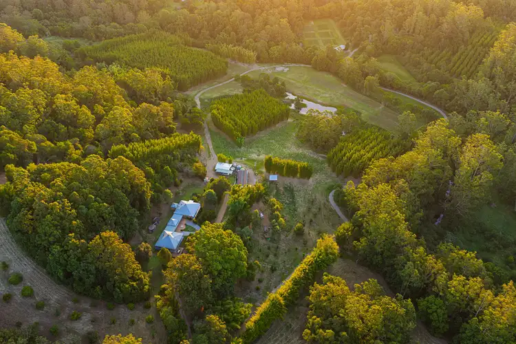 Third view of Homely rural property listing, 661 Stewarts River Road, Lorne NSW 2439