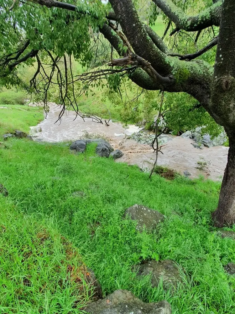 Third view of Homely rural property listing, Lot 31 Lehmans Road, Talgarno VIC 3691