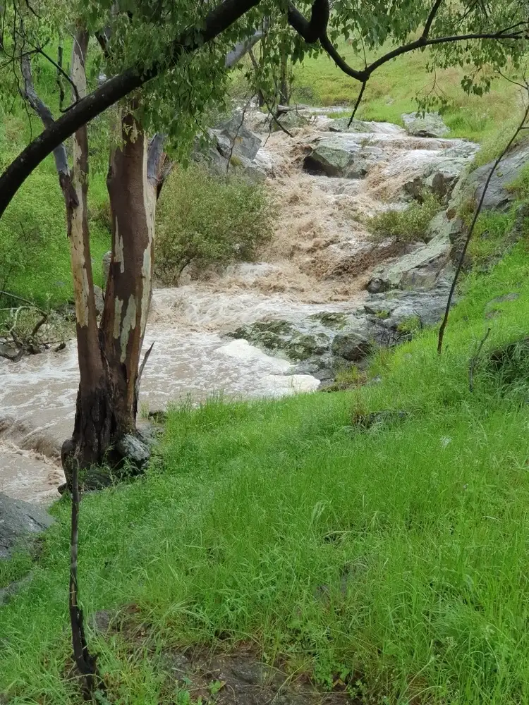 Fourth view of Homely rural property listing, Lot 31 Lehmans Road, Talgarno VIC 3691