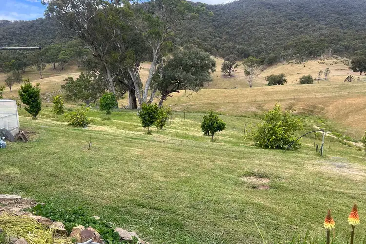 Fifth view of Homely rural property listing, Lot 31 Lehmans Road, Talgarno VIC 3691