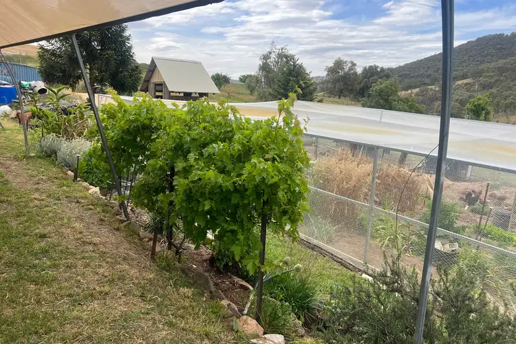 Sixth view of Homely rural property listing, Lot 31 Lehmans Road, Talgarno VIC 3691