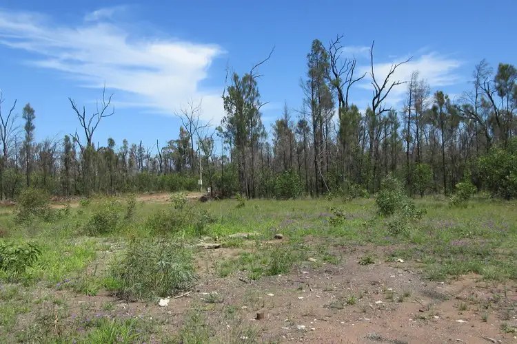 Fifth view of Homely rural property listing, #48 Kookaburra Drive, Tara QLD 4421