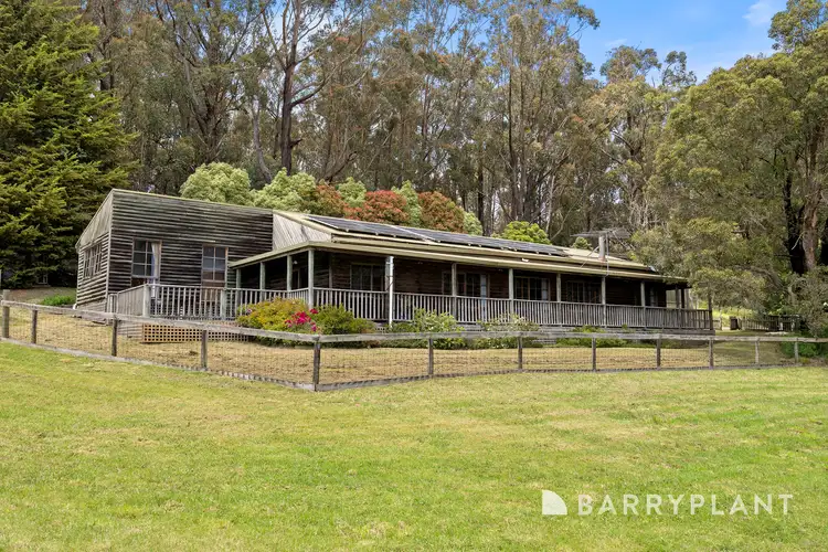 595 Budgeree Road, Budgeree VIC 3870