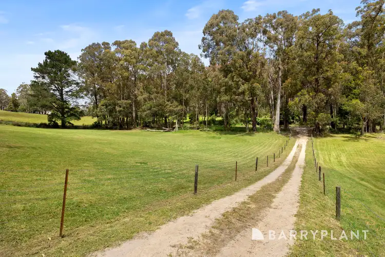 Second view of Homely rural property listing, 595 Budgeree Road, Budgeree VIC 3870