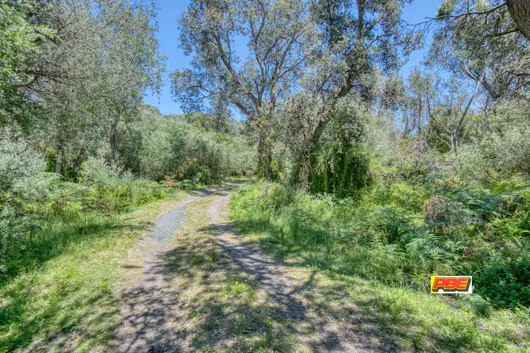 Third view of Homely house listing, 803 Lees Road, Venus Bay VIC 3956