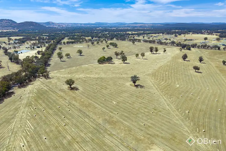 Fourth view of Homely rural property listing, 134 Soldiers Road, Barnawartha VIC 3688