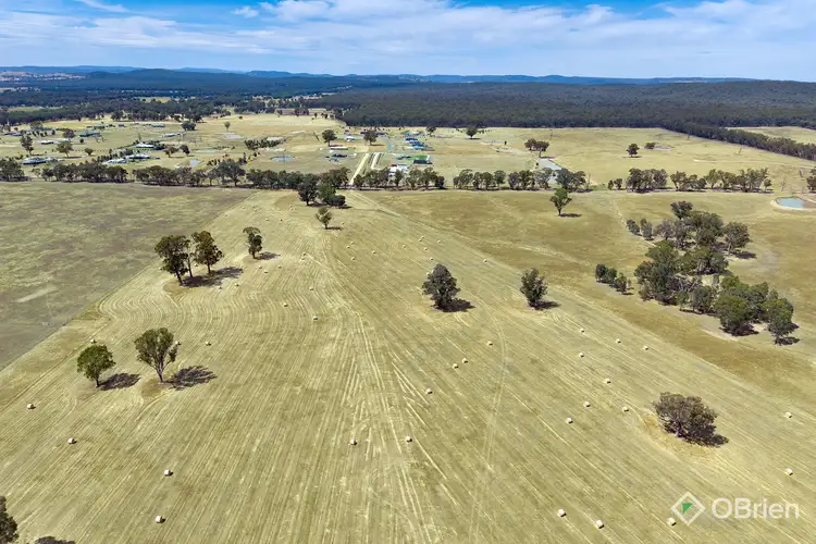 Seventh view of Homely rural property listing, 134 Soldiers Road, Barnawartha VIC 3688