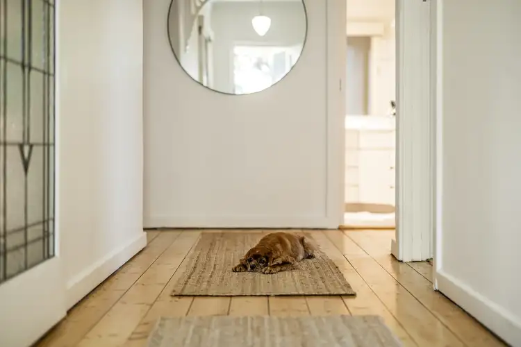 Third view of Homely house listing, 5 Nilpinna Street, Burnside SA 5066