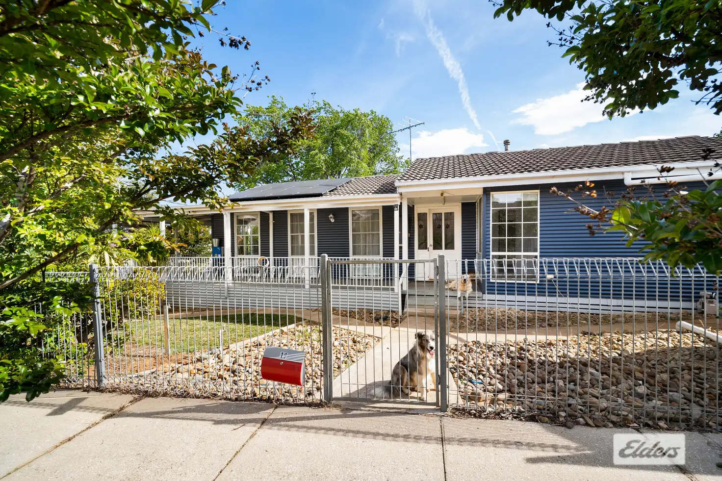 Main view of Homely house listing, 19 William Street, Rutherglen VIC 3685