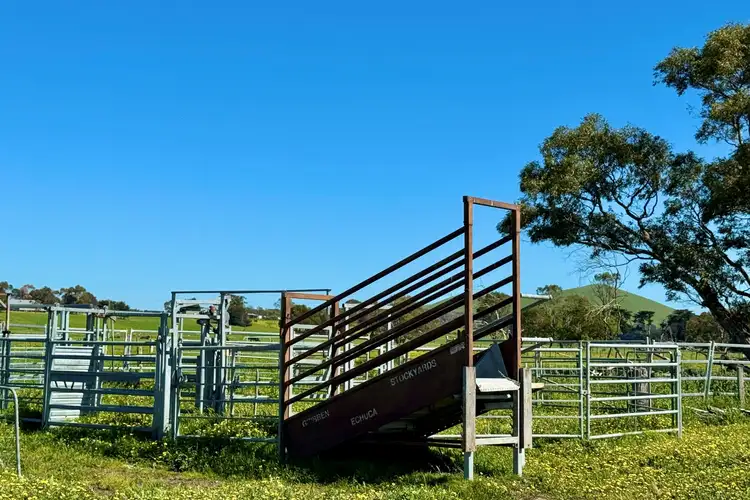 Third view of Homely rural property listing, Old Depot Lane, Mortlake VIC 3272