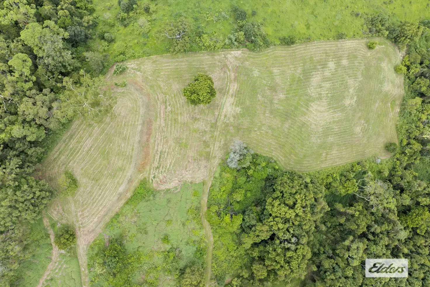 Main view of Homely rural property listing, 100 Clareville Road, Uki NSW 2484