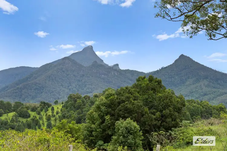 Fifth view of Homely rural property listing, 100 Clareville Road, Uki NSW 2484