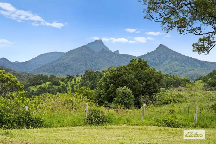 Sixth view of Homely rural property listing, 100 Clareville Road, Uki NSW 2484