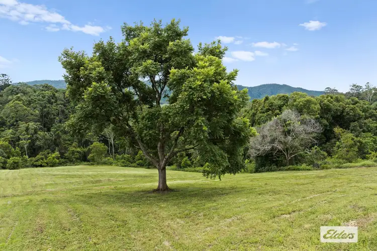 Seventh view of Homely rural property listing, 100 Clareville Road, Uki NSW 2484